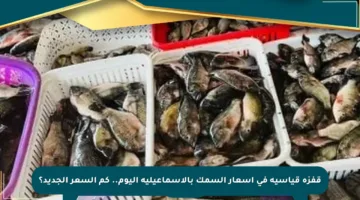 قفزة قياسية في أسعار السمك بالإسماعيلية اليوم.. كم السعر الجديد؟
